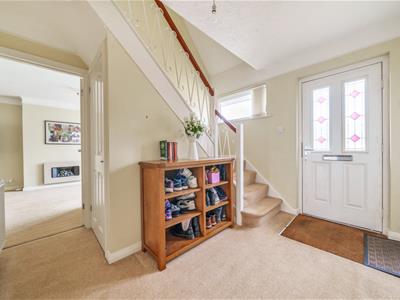 Picture 23